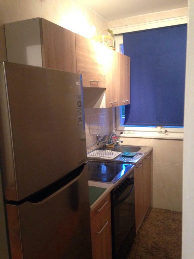 Apartment La Romana ポドゴリツァ エクステリア 写真